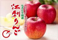 【生産者応援】 訳あり 江刺りんご サンふじ 10kg 中玉（36～40玉） 12月下旬以降順次配送 天候被害果 【凍霜害支援】