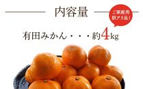 有田みかん 約4kg ご家庭用 訳あり