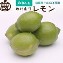 家庭用 レモン2kg+60g（傷み補償分）【和歌山有田川産】【防腐剤・WAX不使用、安心の国産レモン】【わけあり・訳ありレモン】