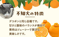 ［先行予約］厳選&nbsp;不知火1kg+250g（傷み補償分）［デコポンと同品種・人気の春みかん］