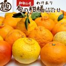 旬の柑橘詰合せ2kg+60g（傷み補償分）【家庭用 訳あり 先行予約】