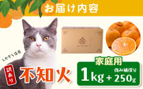 ［先行予約］家庭用&nbsp;不知火1kg+250g（傷み補償分）［デコポンと同品種・人気の春みかん］［わけあり・訳あり］