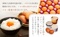 おいし高原 庭さき卵 Mサイズ 50個入り たまご 卵 玉子