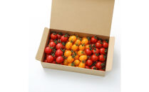 トマトが苦手な子でも食べれちゃう！高糖度&nbsp;完熟フルーツトマトとミニトマトの食べくらべセット　1.2kg&nbsp;こだわりの減農薬&nbsp;&nbsp;糖度8～13度&nbsp;リピーター多数&nbsp;大容量&nbsp;コスパ&nbsp;新鮮&nbsp;&nbsp;人にも地球にも優しいトマト