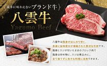 八雲牛 サーロインブロック 1kg （500g×2P）   【 牛肉 牛 肉 サーロイン 食品 グルメ お取り寄せグルメ  八雲町 北海道   】