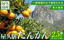 屋久膳旬果『屋久島産 たんかん』2.5kg・混合（M～2Lサイズ おまかせ）【先行受付／数量限定】