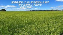 【冷蔵米】令和５年宮城県登米市産「つや姫」5kg×2袋 合計10kgセット
