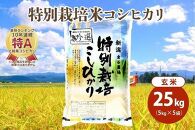 令和5年産|新潟上越三和産|特別栽培米コシヒカリ(従来種)25kg(5kg×5)玄米