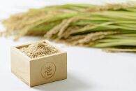 令和5年産｜新潟上越三和産｜特別栽培米コシヒカリ（従来種）6kg（2kg×3）玄米