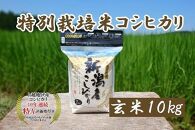 令和5年産｜新潟上越三和産｜特別栽培米コシヒカリ（従来種）10kg（2kg×5）玄米