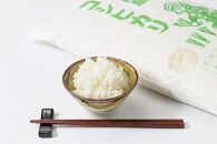 お米マイスターが育てた特別栽培米 精米コシヒカリ 上越産 令和5年産 5kg(5kg×1袋)無洗米