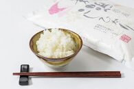 お米マイスターが育てた特別栽培米 精米コシヒカリ 上越産 令和5年産 6kg(2kg×3袋)無洗米
