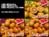 定期便 先行受付 2024年 10月発送スタート 訳あり 傷多め 5kg × 3回 コース 有田みかん 食べくらべ 3種 南泰園