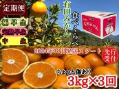 定期便 先行受付2024年 10月発送スタート ちょっと 傷あり 3kg × 3回 コース 有田みかん 食べくらべ 3種 南泰園