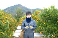 定期便&nbsp;先行受付2024年&nbsp;10月発送スタート&nbsp;ちょっと&nbsp;傷あり&nbsp;3kg&nbsp;×&nbsp;3回&nbsp;コース&nbsp;有田みかん&nbsp;食べくらべ&nbsp;3種&nbsp;南泰園