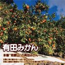 【訳あり】有田みかん 8kg＋2kg 保証分 2S～3Lサイズ混合