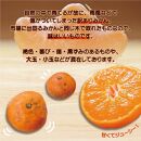 【訳あり】有田みかん 8kg＋2kg 保証分 2S～3Lサイズ混合