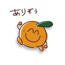 【訳あり】有田みかん 8kg＋2kg 保証分 2S～3Lサイズ混合