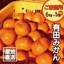 【訳あり】有田みかん 6kg＋1kg 保証分 2S～3Lサイズ混合
