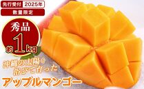 ★【先行受付】【2025年発送】アップルマンゴー 秀品 南城市 約1kg (2～3玉)