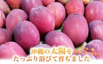 ★【先行受付】【2025年発送】アップルマンゴー 秀品 南城市 約1kg (2～3玉)