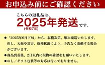 ★【先行受付】【2025年発送】アップルマンゴー 秀品 南城市 約1kg (2～3玉)