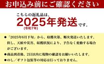 ★【先行受付】【2025年発送】アップルマンゴー 秀品 南城市 約2kg (3～5玉)