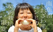 【令和7年産※精米2Kg】契約栽培限定 南魚沼しおざわ産コシヒカリ