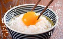 【令和7年産】【無洗米10Kg】吟精&nbsp;&nbsp;南魚沼産コシヒカリ