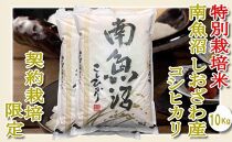 【令和7年産】【精米１０Kg】特別栽培&nbsp;生産者限定&nbsp;&nbsp;南魚沼しおざわ産コシヒカリ