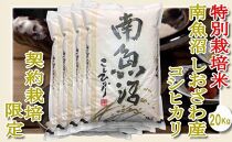【令和7年産】【精米２０Kg】特別栽培&nbsp;生産者限定&nbsp;&nbsp;南魚沼しおざわ産コシヒカリ