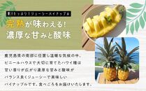 【先行予約】パイナップル　ハワイ種　２玉