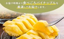 【先行予約】パイナップル　ハワイ種　６玉