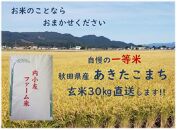 令和5年産 秋田県産あきたこまち 一等米 農家直送 玄米30kg