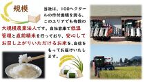 令和5年産 秋田県産あきたこまち 一等米 農家直送 無洗米10kg