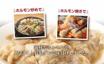 ギフト用【無地熨斗】【味付き焼肉セット】＆【新鮮ホルモン】食べ比べセット！容量800g入り！