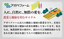 乳酸菌醗酵豆乳 ソイラクト (黒)  100ml×12本【乳酸菌 醗酵 豆乳 大豆 ドリンク 飲料 ソフトドリンク 人気 おすすめ 送料無料 福岡県 筑前町 DS003】