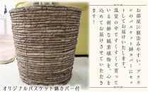 【観葉植物】青年の木（ユッカ） 8号 ブラウンバスケット鉢カバー 土の表面：ウッドチップ ｜観葉植物 インテリア 部屋 おしゃれ 福岡県筑前町 送料無料