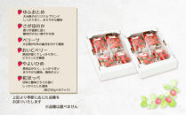 【2026年発送】湯布院の温泉で育てたいちご おまかせ約1,840g（約230g×8パック） ｜ いちご 果物 フルーツ 旬フルーツ 苺 いちご イチゴ 人気 さがほのか ベリーツ 由布市 いちご ED03