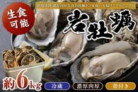 京都・京丹後産　鮮度抜群！濃厚肉厚岩牡蠣（生食用）約6kg（殻付き・かんかん入り・冷蔵）