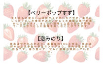 先行予約・数量限定！&nbsp;採れたて完熟いちご【かおり野・よつぼし・ベリーポップすず・恋みのり】&nbsp;9粒～20粒×2箱