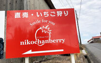 先行予約・数量限定！&nbsp;採れたて完熟いちご【かおり野・よつぼし・ベリーポップすず・恋みのり】&nbsp;9粒～20粒×2箱