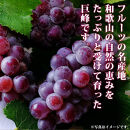 【ご家庭用】紀州有田産の巨峰ぶどう約2kg【先行予約】【2025年8月下旬以降発送予定】
