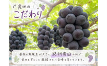 【ご家庭用】紀州有田産の巨峰ぶどう約2kg【先行予約】【2026年8月下旬以降発送予定】