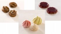 「フールセック・大缶」【うかいグループの洋菓子店 アトリエうかい】宝石箱のようにきらめく、多彩なクッキーの詰め合わせ　