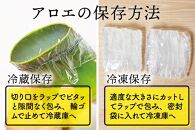 【食用】朝採り アロエベラ生葉 2kg（2枚～4枚）3年物　宮城県産