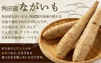 ＼ご飯のお供に／ 長芋 約4kg ( 3-5本 ) | とろろ やまかけ 長いも ながいも 芋 お芋 長芋 いも 野菜 やさい 人気 おすすめ 2024 期間限定 数量限定