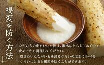 ＼ご飯のお供に／ 長芋 約4kg ( 3-5本 ) | とろろ やまかけ 長いも ながいも 芋 お芋 長芋 いも 野菜 やさい 人気 おすすめ 2024 期間限定 数量限定