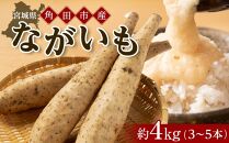 ＼ご飯のお供に／ 長芋 約4kg ( 3-5本 ) | とろろ やまかけ 長いも ながいも 芋 お芋 長芋 いも 野菜 やさい 人気 おすすめ 2024 期間限定 数量限定