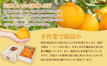 アルギット&nbsp;不知火&nbsp;約1.5kg&nbsp;中玉&nbsp;サイズ（7～8玉）|&nbsp;先行予約&nbsp;不知火&nbsp;デコ&nbsp;みかん&nbsp;甘い&nbsp;おいしい&nbsp;ジューシー&nbsp;完熟&nbsp;期間限定&nbsp;数量限定&nbsp;フルーツ&nbsp;果物&nbsp;柑橘&nbsp;人気&nbsp;おすすめ&nbsp;高級&nbsp;こだわり&nbsp;ギフト&nbsp;旬&nbsp;お取り寄せ&nbsp;送料無料&nbsp;和歌山&nbsp;有田川町